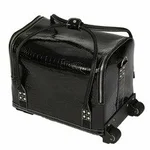 Other Luggage & Bags