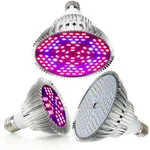 Lights & Lighting